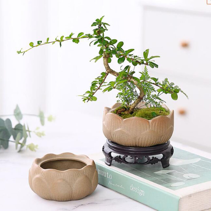 Coarse Pottery Lotus Green Pla - огляд і ціна Bonsai Garden Art